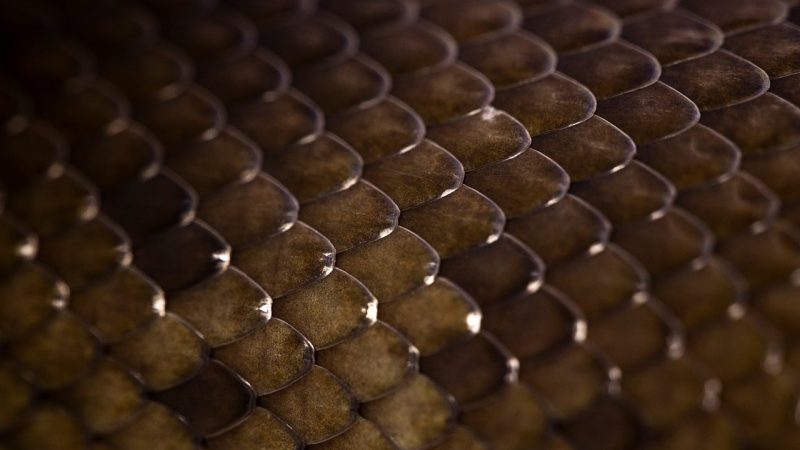 还拿不准手上的「异次元」是哪一家?